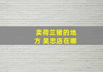 卖荷兰猪的地方 吴忠店在哪